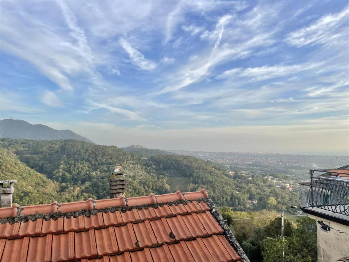 Appartamento Bellavista カステルヌオーヴォ・マグラ エクステリア 写真