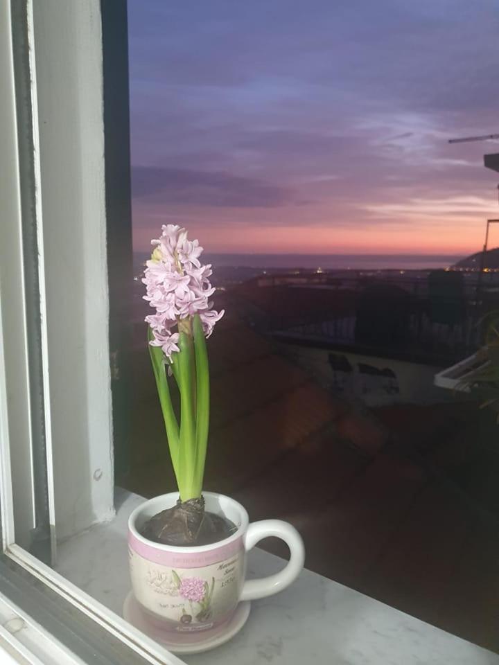 Appartamento Bellavista カステルヌオーヴォ・マグラ エクステリア 写真